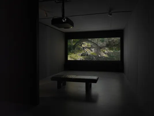 A dimly lit gallery space features a film still with greenery. The gallery space also includes a projector and a soft bench.