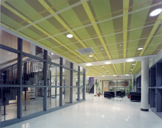 Brown, green, and yellow stripes with intersecting beige and white lines covers the gridded ceiling panels