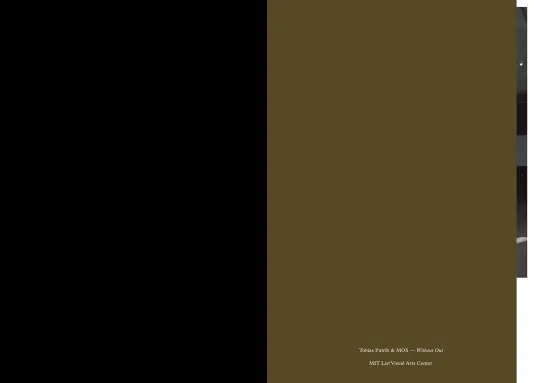 Book cover for Tobias Putrih &amp; MOS: Without Out with half the cover solid black and the other army green.