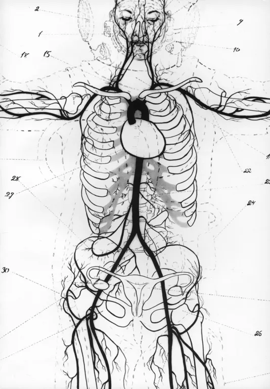 Book cover for Tavares Strachan/Orthostatic Tolerance:  It Might Not Be Such a Bad Idea if I Never Went Home featuring a white background and black human skeleton drawing taking up the whole cover.