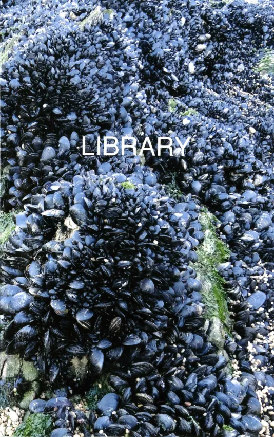 Book cover for List Projects: Lina Viste Grønli titled Library featuring a photograph of hundreds of mussels on rocks.