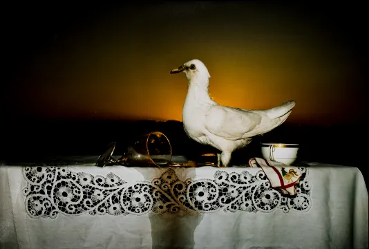 A white pigeon stands on top of a table with a decorative table cloth, a mug, and a tipped over wine glass.