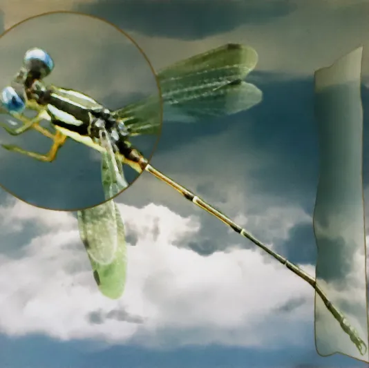 Up close image of a dragon fly with a magnified circle in the upper left that zooms in on the bugs eyes. The background is a cloudy sky.