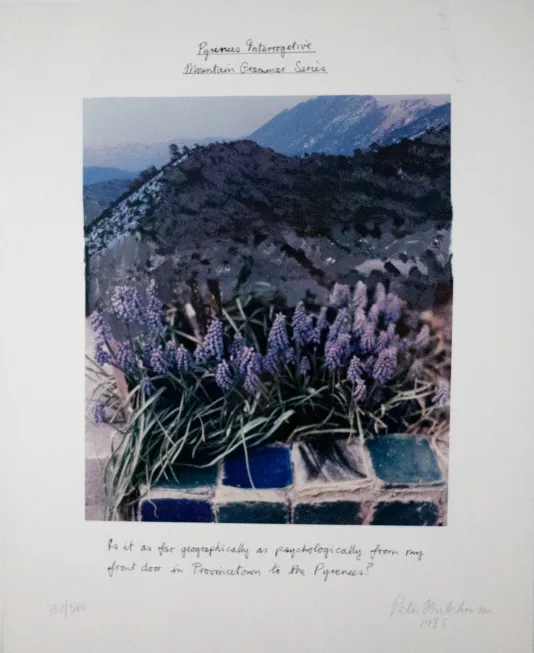 Photograph of a bundle of purple flowers with a background of mountains and a white border around the photograph with a caption.