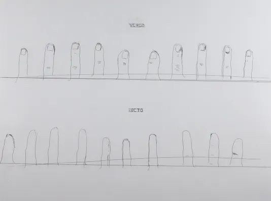 Sketch on white paper of a line of fingers and nails and the word Verso above and below a line of fingers from the other side that reads recto