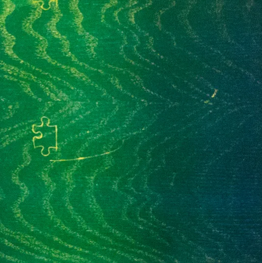 Green print with a wood grain like texture and a yellow outline of a small puzzle piece on the left.