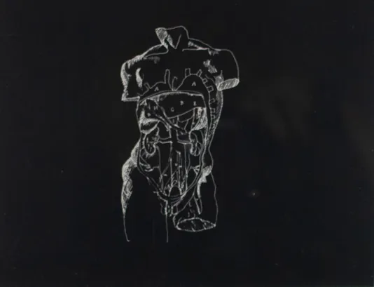 Black background with a diagram of a person's torso in white ink.