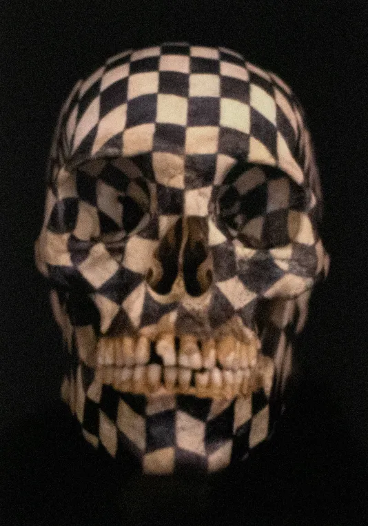 A skill with a checkered black and white pattern on the surface. Missing eyes but has broken teeth.