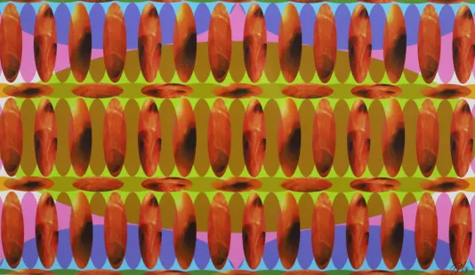 Series of red, yellow, gold, purple, pink, and blue colored ovals that overlap and create a pattern.