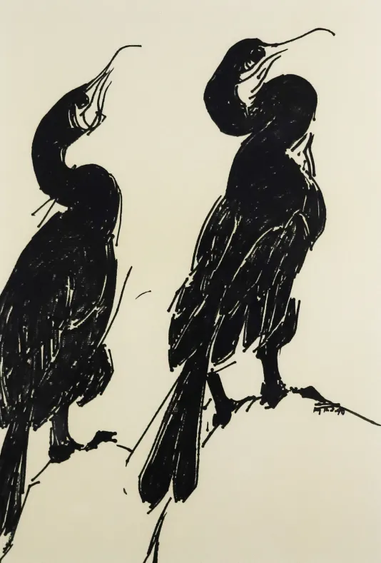 Print of two cormorants looking towards the upper right corner of the page.