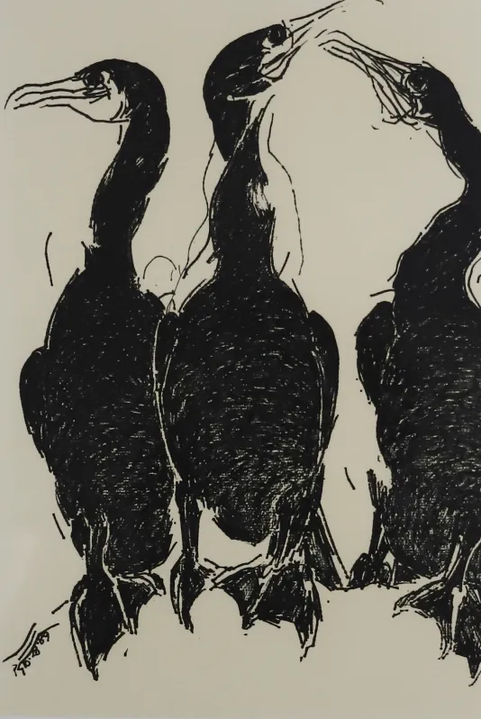 Print of three cormorants with their backs facing the viewer all looking in different directions.