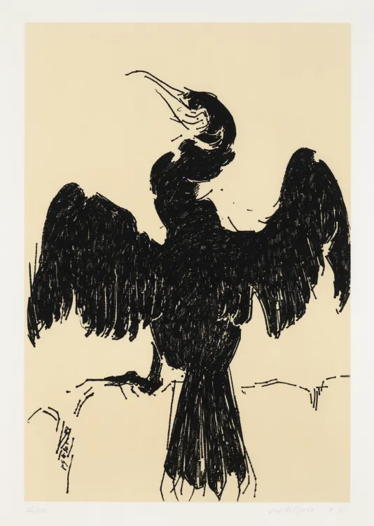 Print of a cormorant with its back to the viewers, wings spread out wide and its head craned up towards the top left corner.