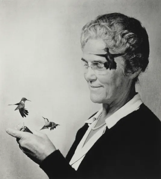 Black and white photograph of an older woman feeding two hummingbirds out of her hands while a third flys near her forehead.