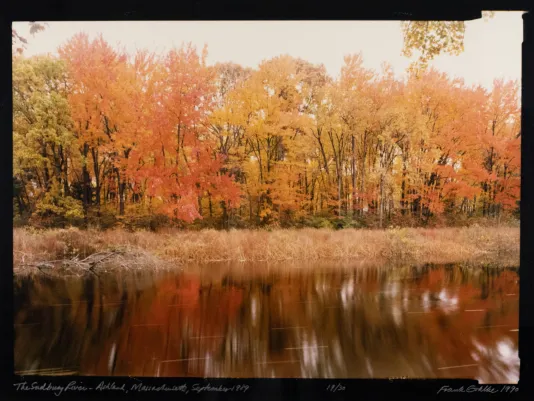 Overexposed image of a river and trees with red, orange, and yellow leaves.