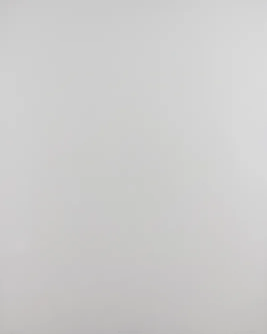 Plain grey background.