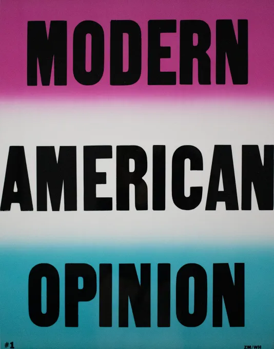 Text that reads Modern American Opinion broken up into a pink, white, and blue section