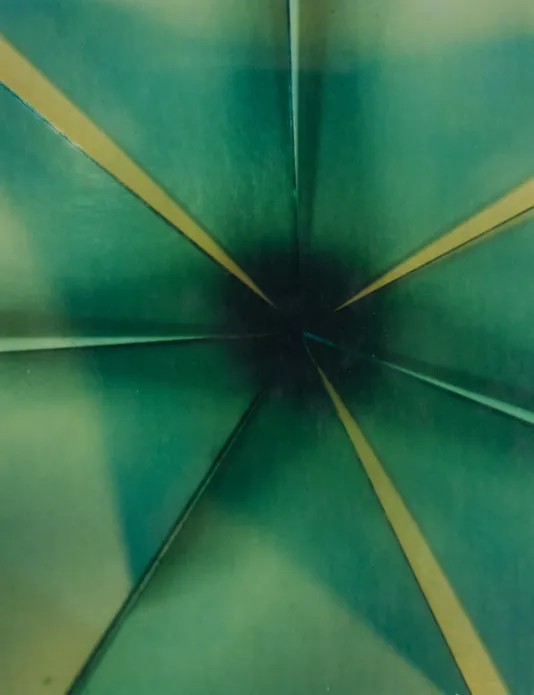 Unique green polaroid shot featuring triangles that meet a the center of the rectangular frame to make a dark green circle.