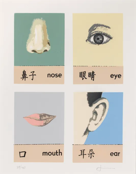 Four cards, in the top left is a diagram of a nose, in the top right is an eye, lower left is a mouth and lower right is an ear. Each card has the body part listed below.