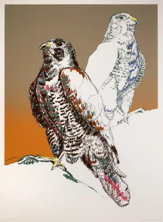 Print of two pigeon looking birds perches on a white hill with a sunset behind them.