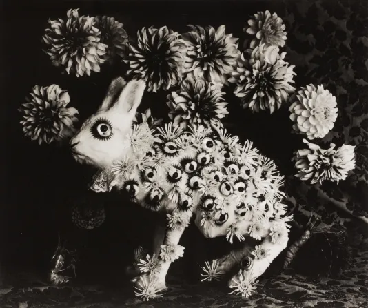 Black and white image of a rabbit covered in eyes surrounded by flowers.