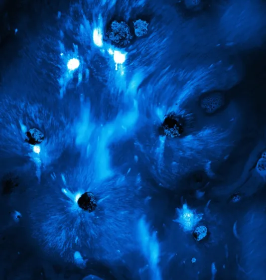 Image of water from above with a strong blue hue.