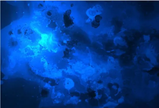 Image of water from above with a strong blue hue.