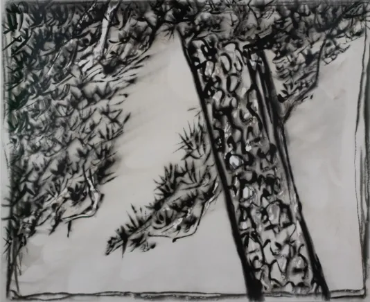 Abstract drawing made up of black dashes and lines that resembles a forest from above.