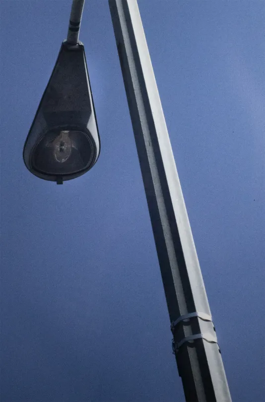 Photograph of a street light from below with a dark blue background.