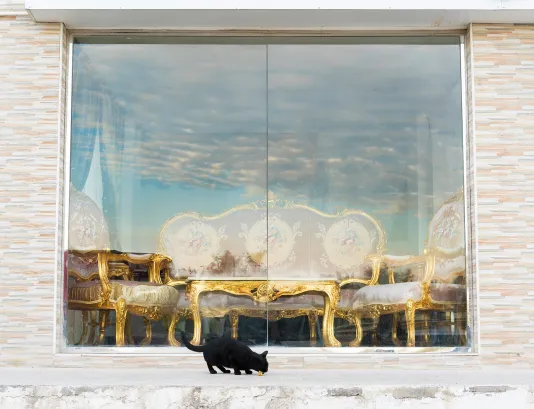Photo of a store front with antique furniture inside and a black cat on the street in front of the window.