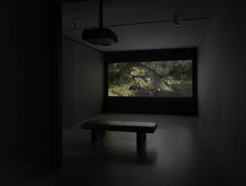 A dimly lit gallery space features a film still with greenery. The gallery space also includes a projector and a soft bench.