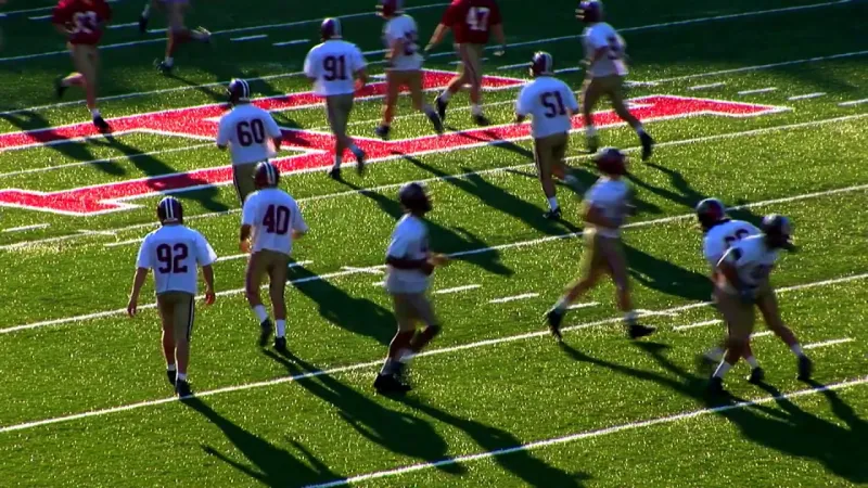 Preview image for the video "Ericka Beckman: Double Reverse".