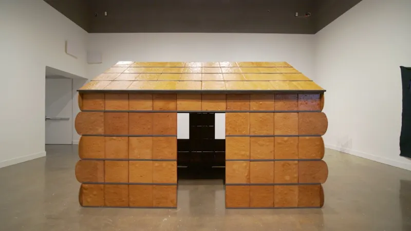 Preview image for the video "No Wrong Holes: Thirty Years of Nayland Blake".