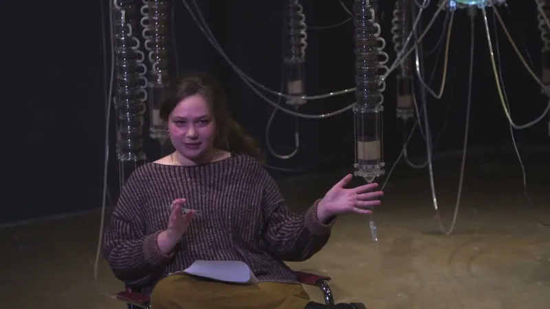 Preview image for the video "Graduate Student Talk: Elena Sobrino".