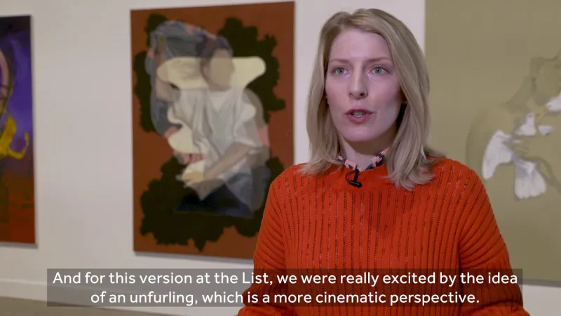 Preview image for the video "Allison Katz: Diary w/o Dates".