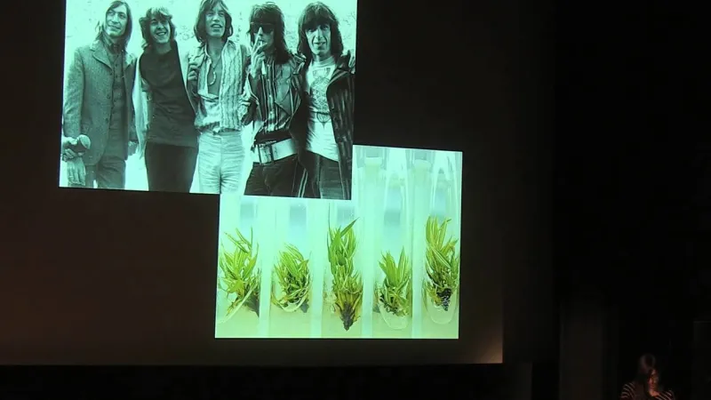 Preview image for the video "Techniques of the Listener: Sonocytology and Cellular Sounds Sophia Roosth".