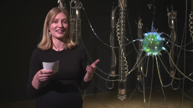 Preview image for the video "Graduate Student Talk: Madeline Moore". Preview image for the video "Graduate Student Talk: Madeline Moore".