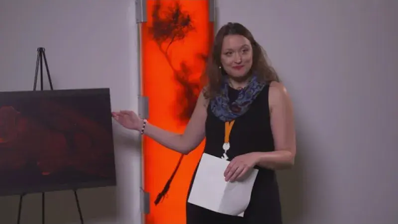 Preview image for the video "Gallery Talk: Miranda Dawson".