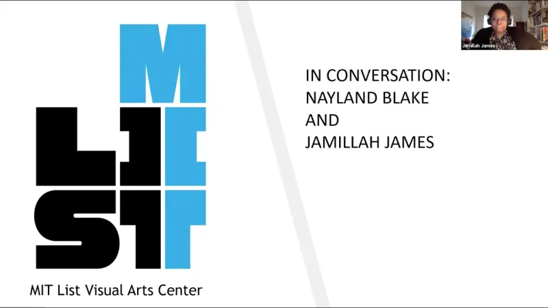Preview image for the video "In Conversation: Nayland Blake and Jamillah James".