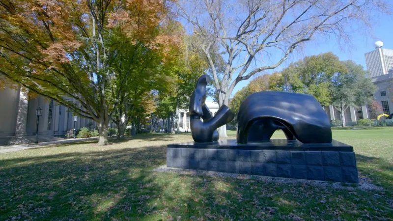 Preview image for the video "Public Art".