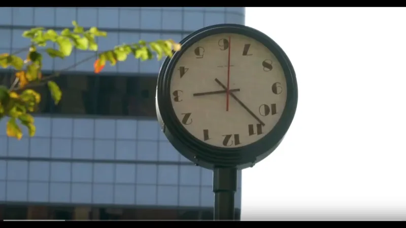 Preview image for the video "Alicja Kwade, Against the Run, 2019".