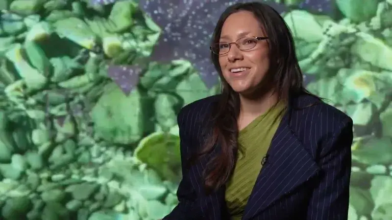 Preview image for the video "List Projects 31: Kite".