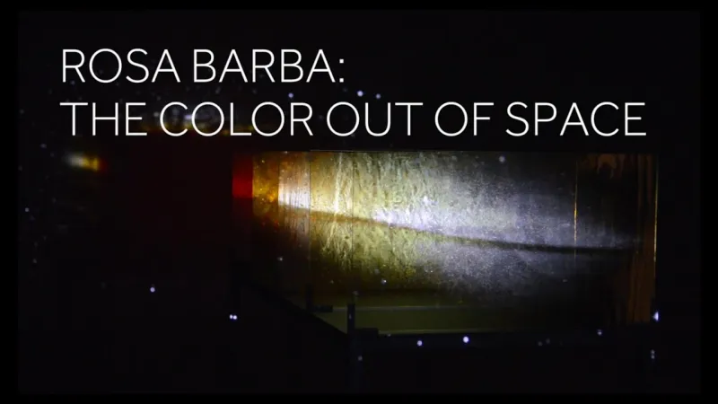 Preview image for the video "Rosa Barba The Color Out of Space".